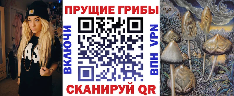 Купить закладки  Красноярск  Галлюциногенные грибы мицелий 